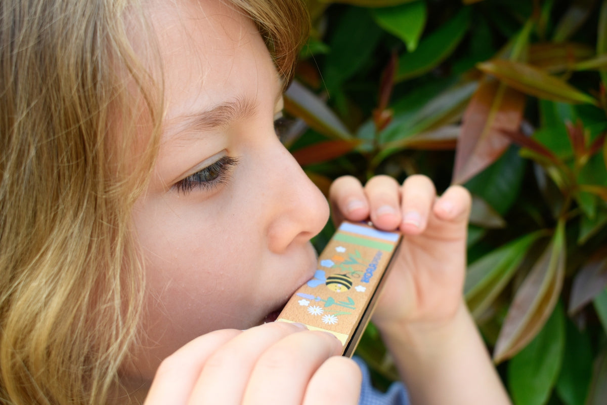 Buzzy Days Bee Wooden Harmonica Pack of 12
