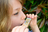 Buzzy Days Bee Wooden Harmonica Pack of 12
