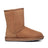 Women's UGG Classic Short Gen II | Red Kado